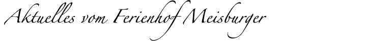 headline-aktuell