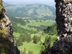 Sommer