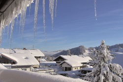 winter