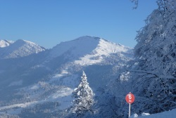 winter